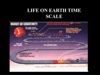 LIFE ON EARTH TIME SCALE