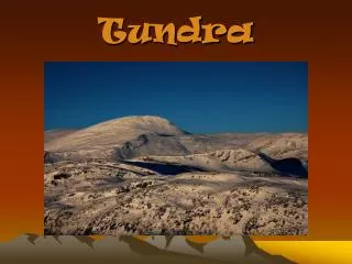 tundra