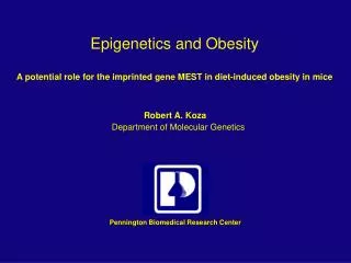 Epigenetics and Obesity
