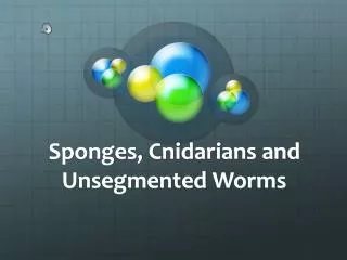 Sponges, Cnidarians and Unsegmented Worms
