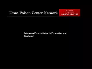 Poisonous Plants - Guide to Prevention and Treatment