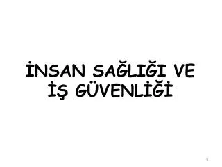 nsan sa li i ve g venl