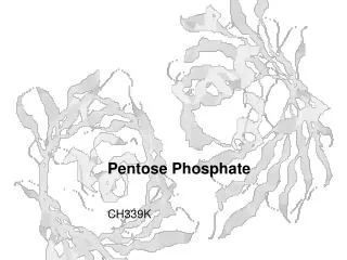 Pentose Phosphate