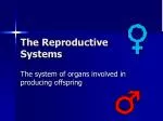 The Reproductive Systems - slide 1