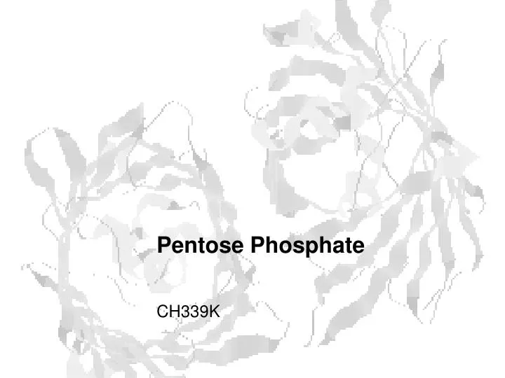 pentose phosphate