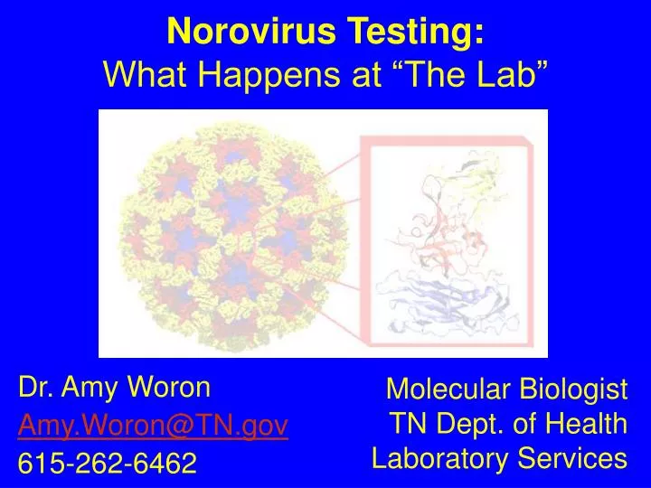 norovirus testing what happens at the lab