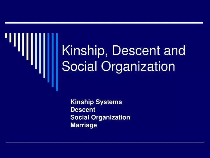 kinship descent and social organization