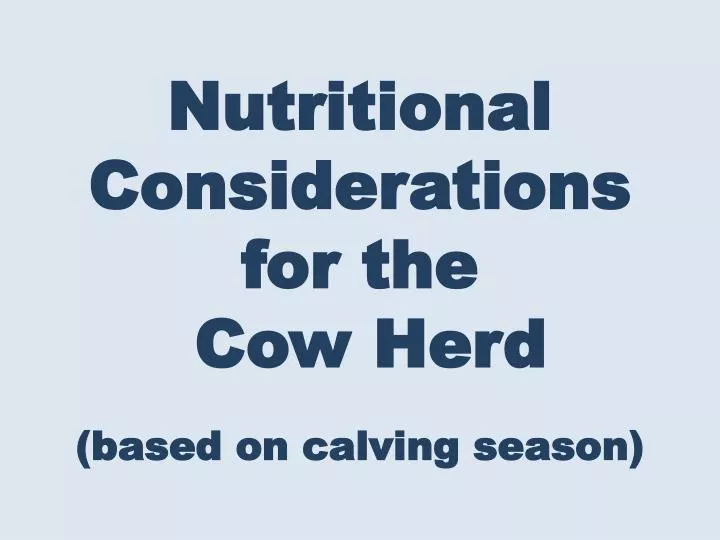nutritional considerations for the cow herd