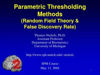 Parametric Thresholding Methods (Random Field Theory &amp; False Discovery Rate)