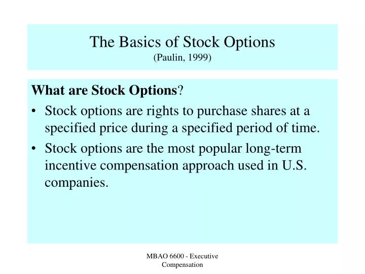 the basics of stock options paulin 1999