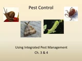 Pest Control