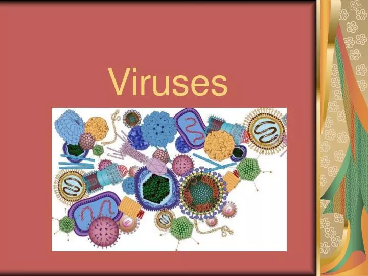 viruses