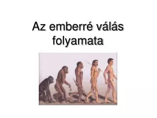 az emberr v l s folyamata