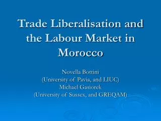 Trade Liberalisation and the Labour Market in Morocco