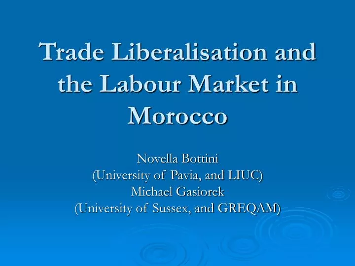 trade liberalisation and the labour market in morocco