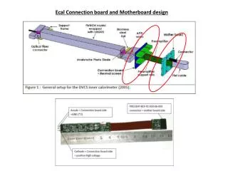 Ecal Connection board and Motherboard design