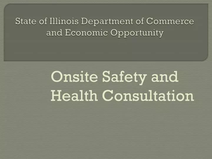 state of illinois department of commerce and economic opportunity