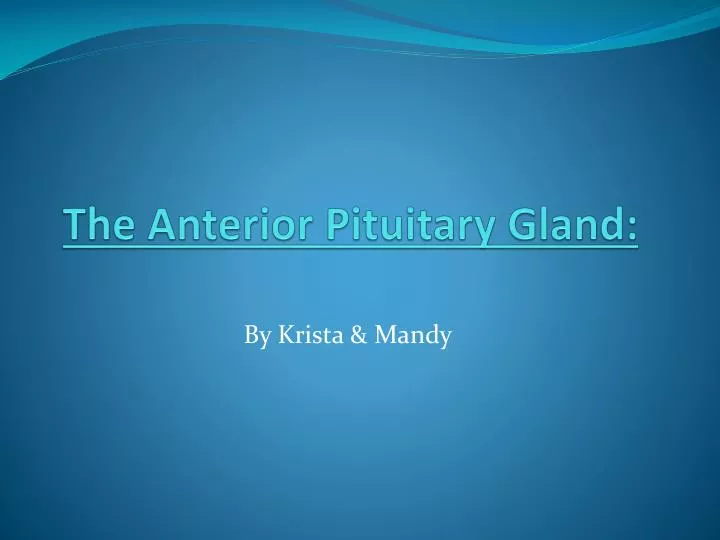 the anterior pituitary gland