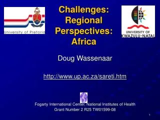 challenges regional perspectives africa