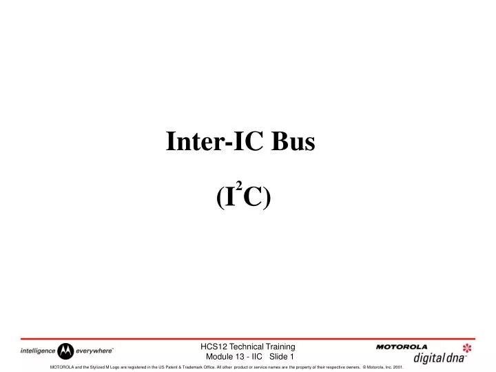 inter ic bus