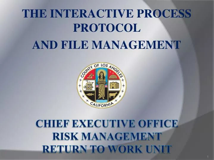 the interactive process protocol and file management