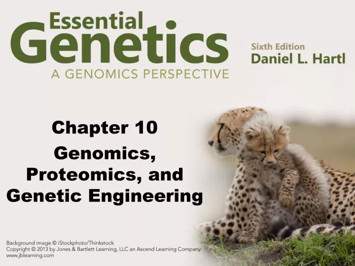 chapter 10 genomics proteomics and genetic engineering