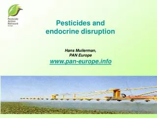 Pesticides and endocrine disruption Hans Muilerman, PAN Europe pan-europe