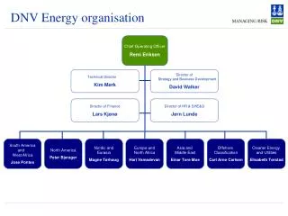 DNV Energy organisation