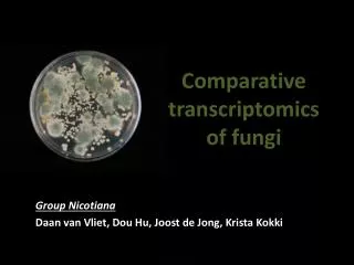 Comparative transcriptomics of fungi