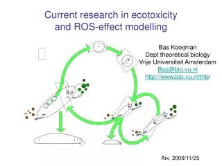 Current research in ecotoxicity and ROS-effect modelling