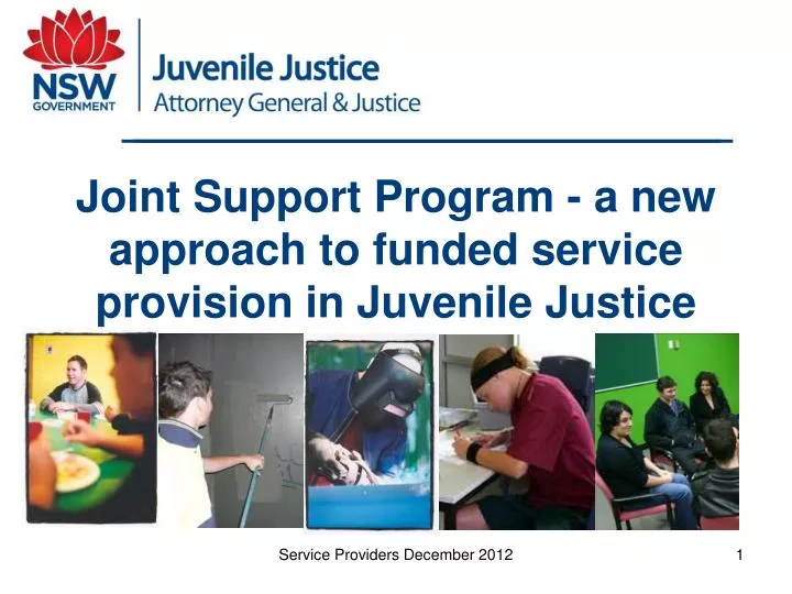 joint support program a new approach to funded service provision in juvenile justice