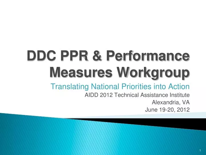 ddc ppr performance measures workgroup