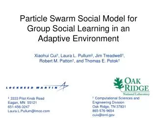 Particle Swarm Social Model for Group Social Learning in an Adaptive Environment