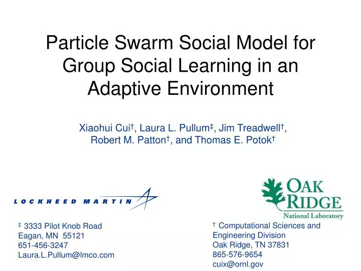 particle swarm social model for group social learning in an adaptive environment