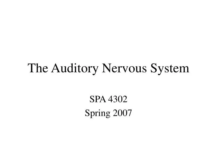 the auditory nervous system