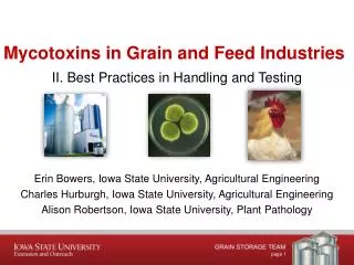 Mycotoxins in Grain and Feed Industries