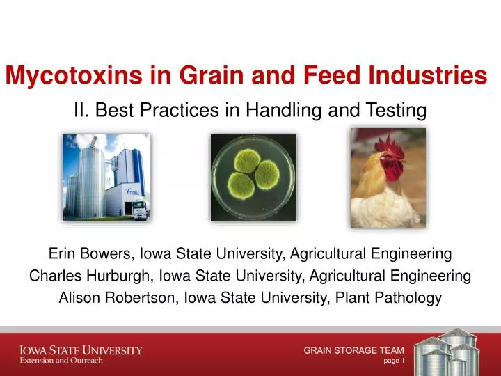 mycotoxins in grain and feed industries
