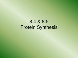 8.4 &amp; 8.5 Protein Synthesis