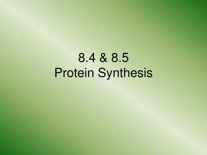 8 4 8 5 protein synthesis