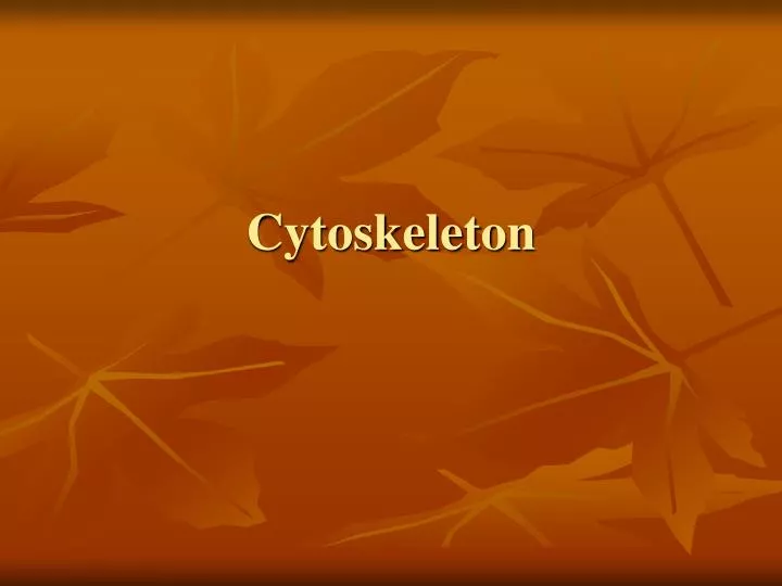 cytoskeleton