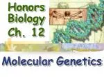 Honors Biology Ch. 12 - slide 1