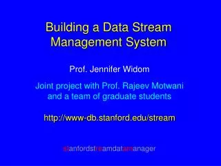 Building a Data Stream Management System
