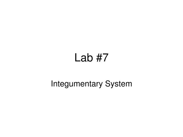 lab 7