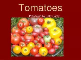 Tomatoes