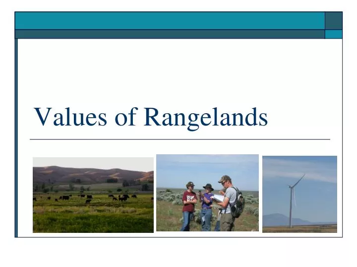 values of rangelands