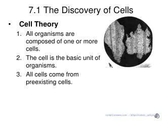 7.1 The Discovery of Cells