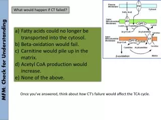 MFM: Check for Understanding