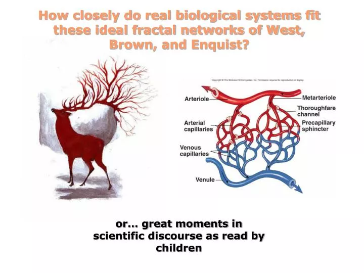 how closely do real biological systems fit these ideal fractal networks of west brown and enquist