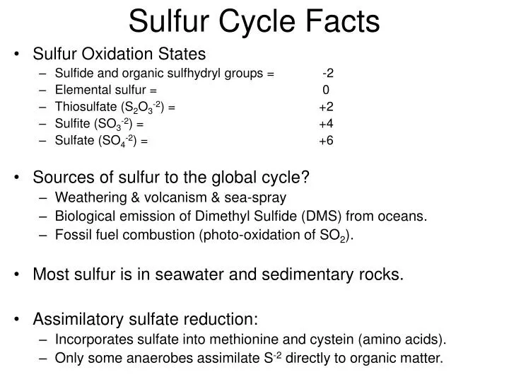 sulfur cycle facts