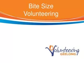Bite Size Volunteering